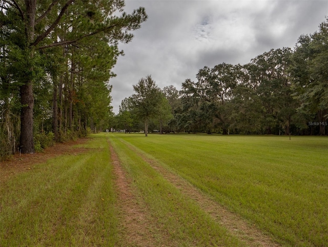 10291 SE County Road 245, Lake City, FL 32025 - photo 23