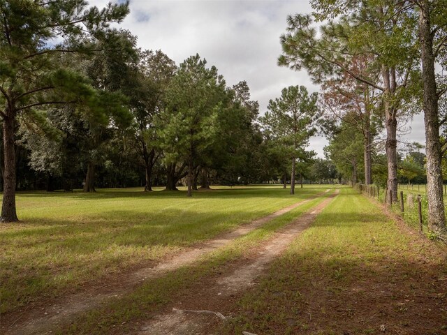 10291 SE County Road 245, Lake City, FL 32025 - photo 24