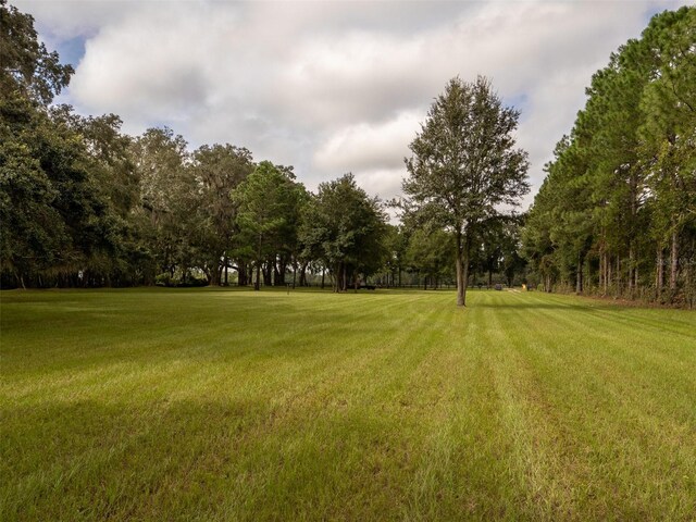 10291 SE County Road 245, Lake City, FL 32025 - photo 25