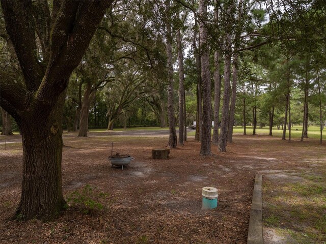10291 SE County Road 245, Lake City, FL 32025 - photo 33