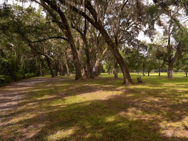 10291 SE County Road 245, Lake City, FL 32025 - photo 34