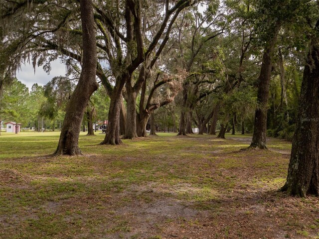 10291 SE County Road 245, Lake City, FL 32025 - photo 35