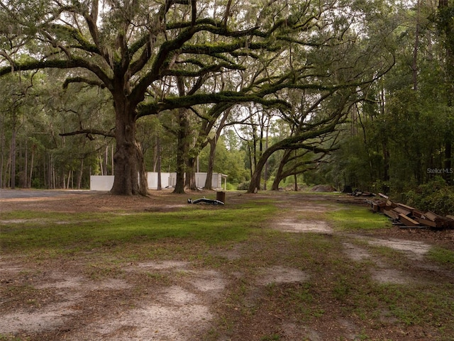 10291 SE County Road 245, Lake City, FL 32025 - photo 36