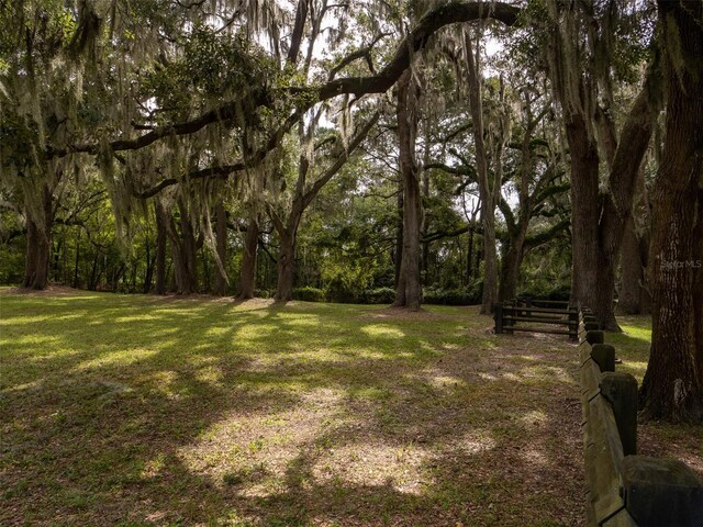 10291 SE County Road 245, Lake City, FL 32025 - photo 39