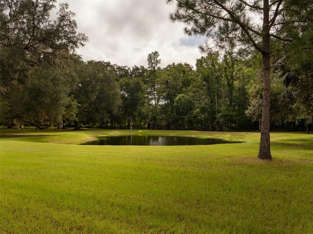 10291 SE County Road 245, Lake City, FL 32025 - photo 32