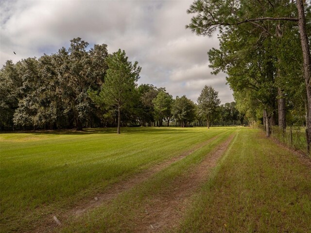 10291 SE County Road 245, Lake City, FL 32025 - photo 21