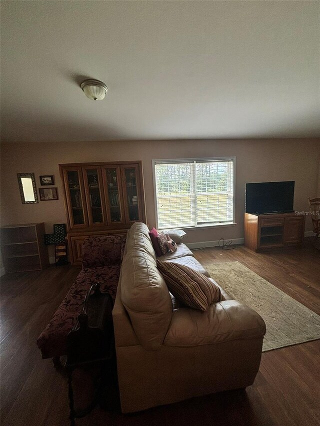 living room featuring dark hardwood / wood-style flooring