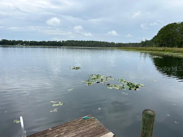 101 Tomahawk Rd, Hawthorne, FL 32640 - photo 4