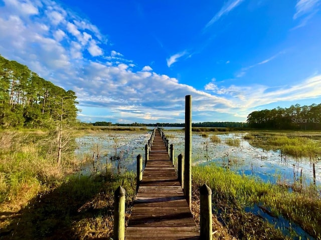 dock area with a water view