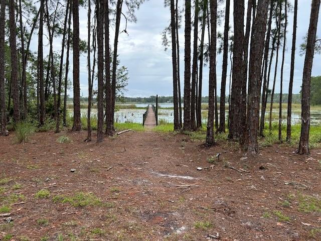 101 Tomahawk Rd, Hawthorne, FL 32640 - photo 9