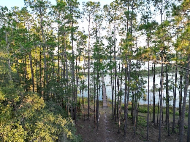 view of local wilderness with a water view