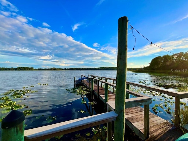 dock area featuring a water view