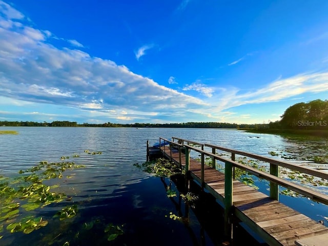 dock area featuring a water view