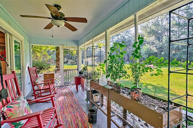 sunroom featuring ceiling fan and a healthy amount of sunlight