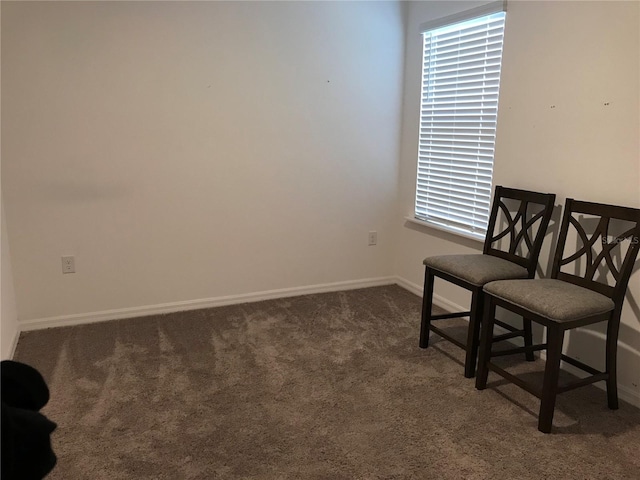 living area featuring dark colored carpet