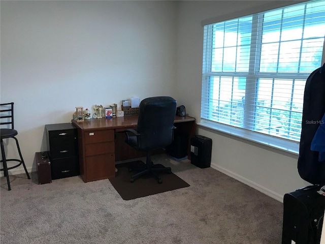 carpeted office with a healthy amount of sunlight