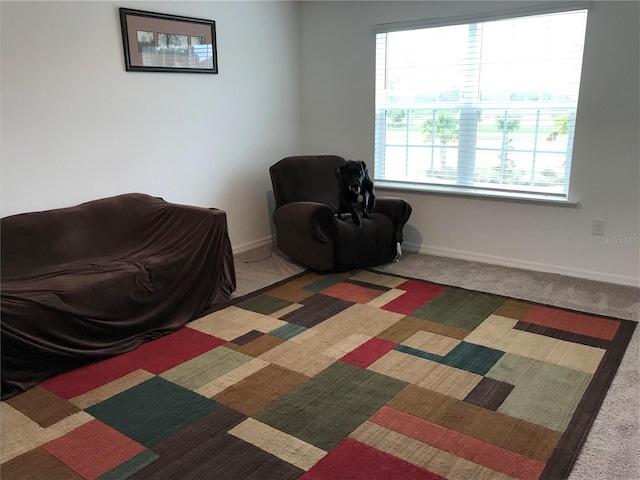 living area with carpet flooring