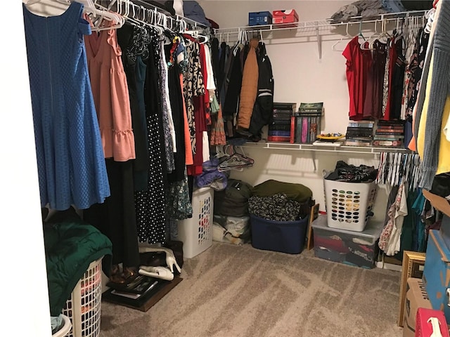 spacious closet with carpet floors