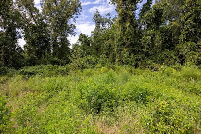 131 Riley Lake Dr, Hawthorne, FL 32640 - view of woods