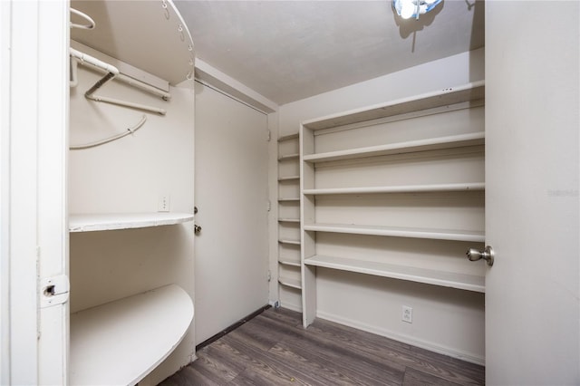 walk in closet featuring dark wood-type flooring