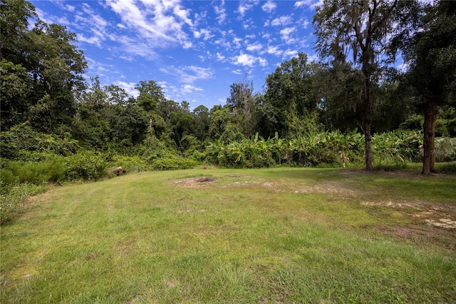 131 Riley Lake Dr, Hawthorne, FL 32640 - view of grassy yard