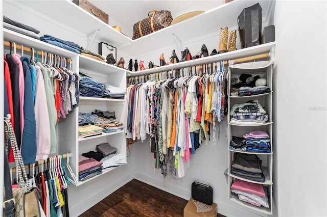 walk in closet with dark wood-type flooring