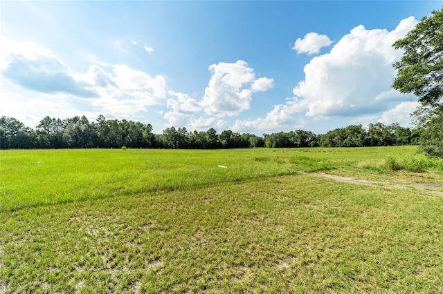 view of yard featuring a rural view