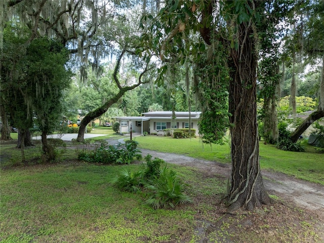 view of front facade with a front lawn