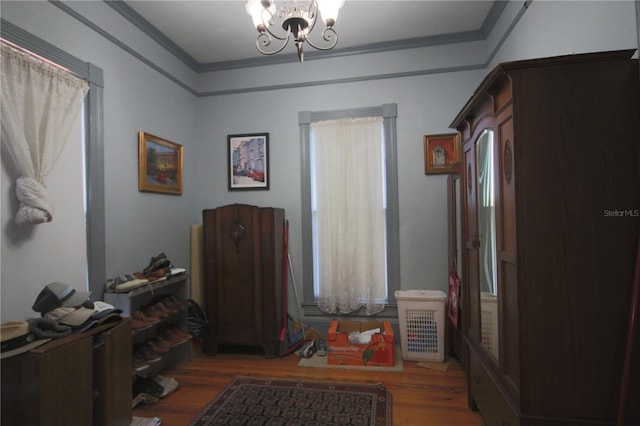 miscellaneous room featuring ornamental molding, a chandelier, wood finished floors, and a healthy amount of sunlight