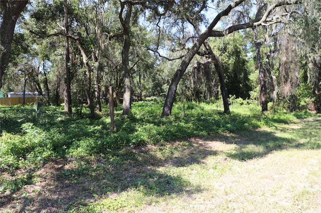 Listing photo 3 for 8778 State Road 21, Melrose FL 32666