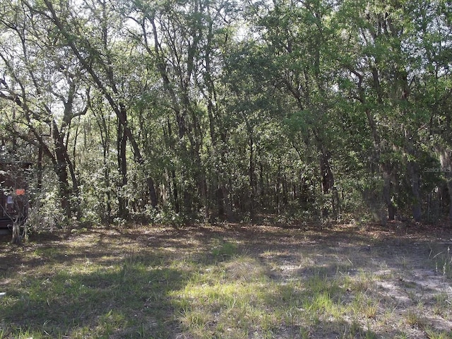 521 Michael Ave, Interlachen FL, 32148 land for sale