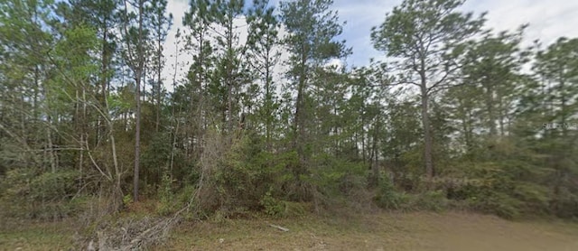 00 Evans Ave, Interlachen FL, 32148 land for sale