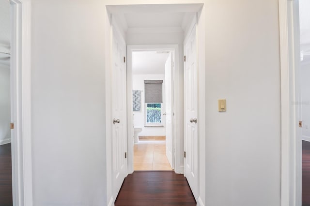 corridor featuring dark hardwood / wood-style floors