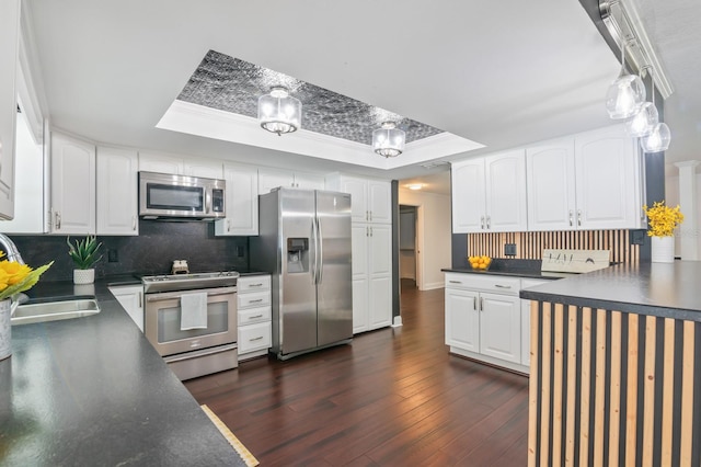 kitchen featuring stainless steel appliances, a tray ceiling, dark hardwood / wood-style floors, and white cabinets