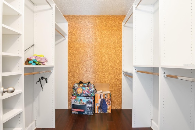 spacious closet with dark hardwood / wood-style floors