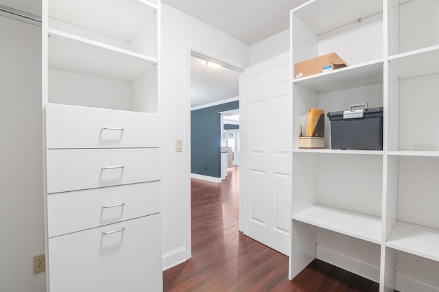 spacious closet featuring dark hardwood / wood-style flooring