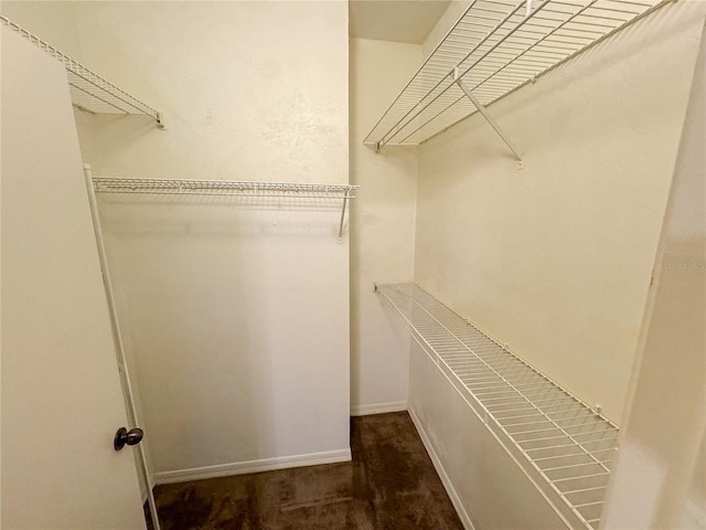 spacious closet with carpet floors