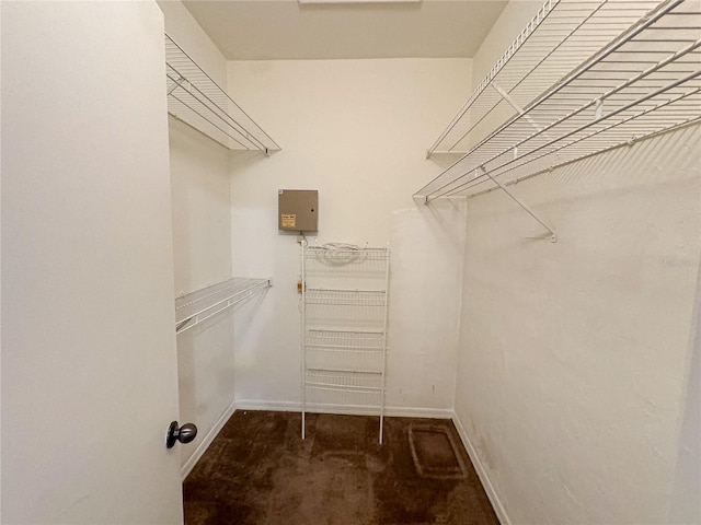 view of spacious closet