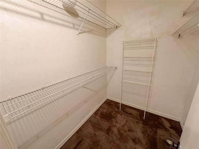 spacious closet with carpet floors