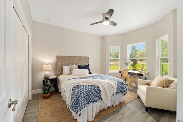 bedroom with ceiling fan, a closet, and light hardwood / wood-style floors