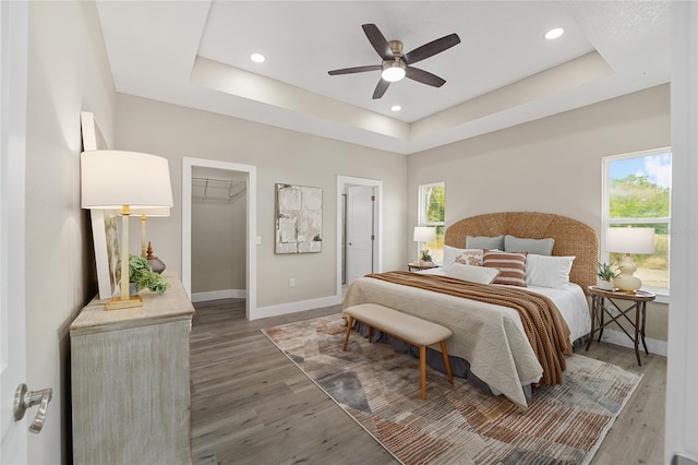 bedroom featuring a walk in closet, a tray ceiling, ceiling fan, and dark wood-type flooring