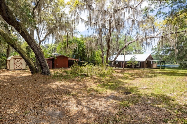 view of yard featuring a storage shed