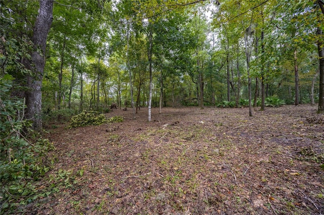 3960 NW 30th Pl, Gainesville, FL 32606 - photo 4
