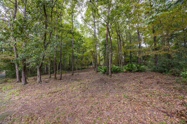 3960 NW 30th Pl, Gainesville, FL 32606 - photo 5