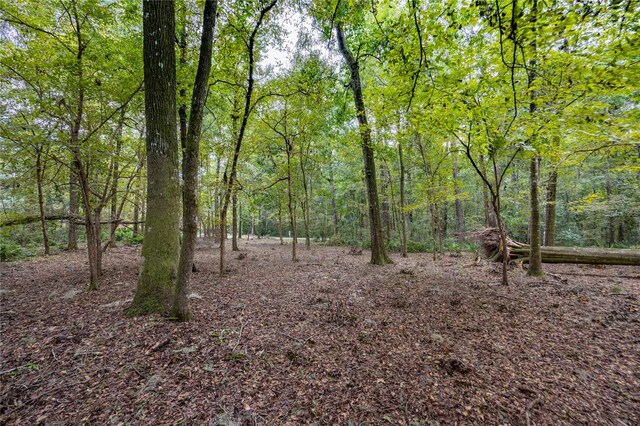3960 NW 30th Pl, Gainesville, FL 32606 - photo 8