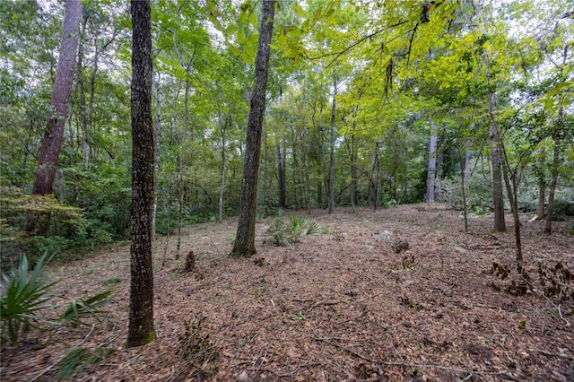 3960 NW 30th Pl, Gainesville, FL 32606 - photo 9