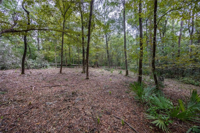 3960 NW 30th Pl, Gainesville, FL 32606 - photo 10