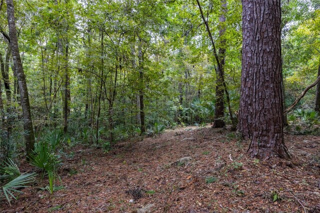 3960 NW 30th Pl, Gainesville, FL 32606 - photo 11