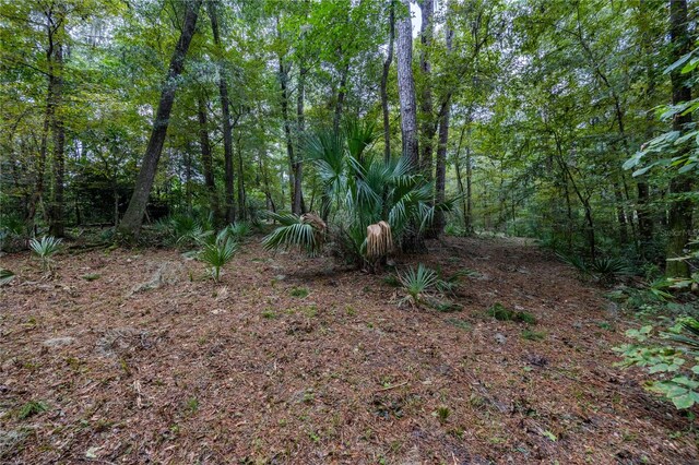 3960 NW 30th Pl, Gainesville, FL 32606 - photo 12
