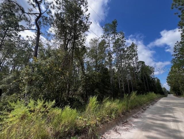 NW 15th Ave, Bell FL, 32619 land for sale